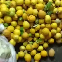 有没有哪位老板需要的每天可以大量的摘需要联系