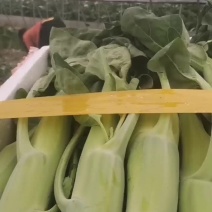 小官蔬菜