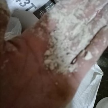 米糠大米纯油糠米糠饲料原料