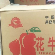 花牛苹果