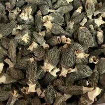 羊肚菌厚肉足干口感好新貨炖汤配料营养成分丰富