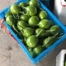 油瓜，小南瓜，花皮小南瓜，大棚小南瓜，日本南瓜