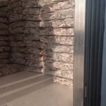 各种鲫鱼需要联系
