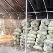 泰州市兴化市纯干鸡粪有机肥常年有货需要电话联系