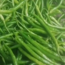 三号线椒