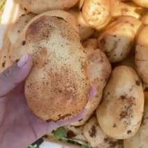 中和营丽署六号红土