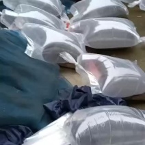 青蛙苗，蝌蚪.小圆头.绿豆苗.花生米.技术指导