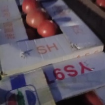 硬粉软粉西红柿大量上市