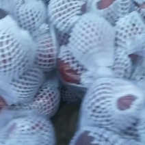 花牛苹果