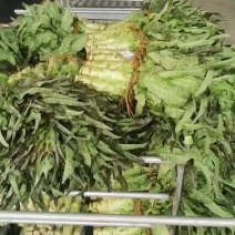 蔬菜