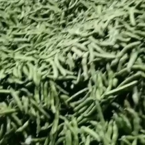 蚕豆大量上市中，价格优惠量大