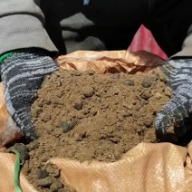 干羊粪草原风干纯羊粪有机肥料货真价实质量保证