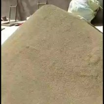 孜然，日照强，油性大，沟壑明显，香味重，一件也是批发价