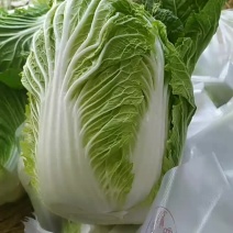 白菜，黄心大白菜大量现货供应中，质量好，价格便宜，量大了