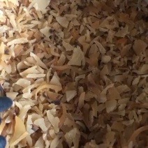 一斤圆通包邮螺碎粉熬汤煲汤料海螺响螺片碎