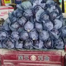 陕西精品蔬菜上市了，价格合适