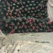 黑皮冬瓜