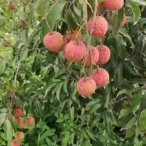 大
