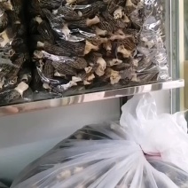 正宗四川羊肚菌各种规格齐全