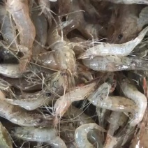 河虾