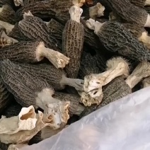 正宗四川绵阳羊肚菌精选大个8-11