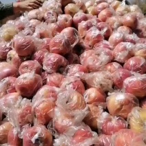 红富士苹果精品红富士全国发货一手货源保质保量