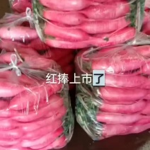 水萝卜
