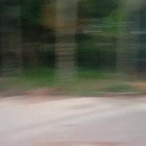 海南万宁椰青个头大