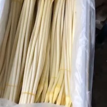 湖北藕带