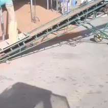 精品红高粱