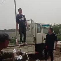 蒜苔