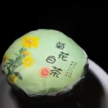 菊花白茶福鼎老白茶与金丝皇菊压制小饼500g茶支持线上交易