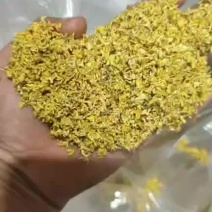 畅销产品干桂花，广西桂林中园农产品加工厂，