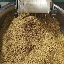 畅销产品干桂花，广西桂林中园农产品加工厂，