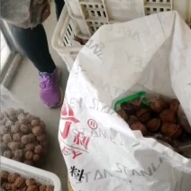 麒麟纹官帽，四座楼