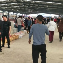 陆地大樱桃