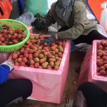 越南荔枝