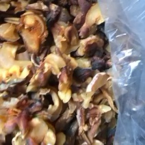响螺头海螺肉海鲜水产干货深海响螺嘴