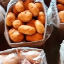 云南土豆，丽薯6号