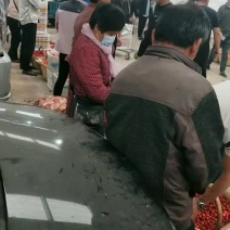 陆地大樱桃