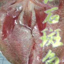 产地直供红石斑三去石斑鱼大石斑鱼全国发货