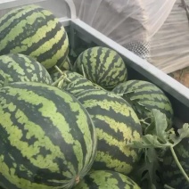 代收西瓜，锦王，甜王，卖一等好瓜漏，欢迎电话微信咨询。