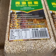青海高原藜麦种植