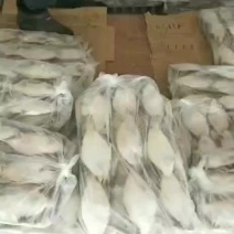 长脖装车中，价格美丽，封海期间价格上涨中，装车寻价