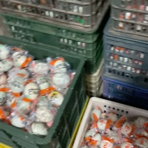 咸鸭蛋破壳咸鸭蛋¥0.45一个量大的请联系。