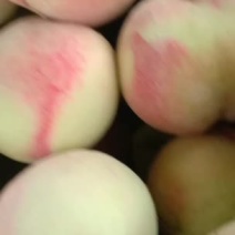 松森