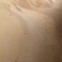 玉米酒糟现货供应，指标稳定