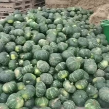 板栗南瓜