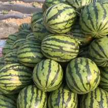代购西瓜，锦王，甜王，一等好瓜漏价格美丽，代收发货，
