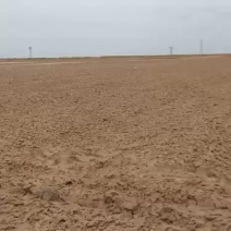 沙地陕西省定边县沙土地
